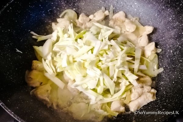 cabbage and chicken slices on a pan