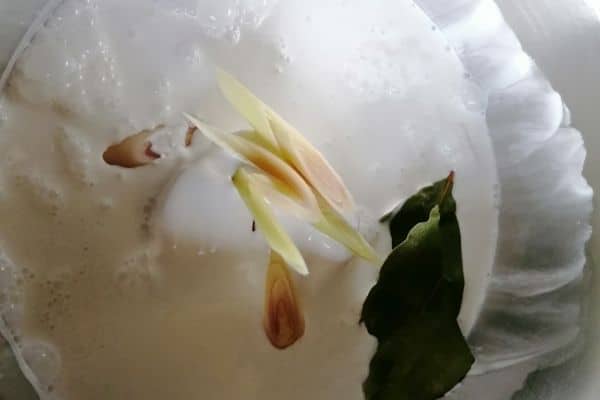 coconut milk with lemongrass and salam leaf