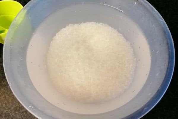 rice soaked in water