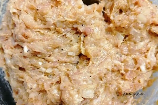 chicken and spices mixture