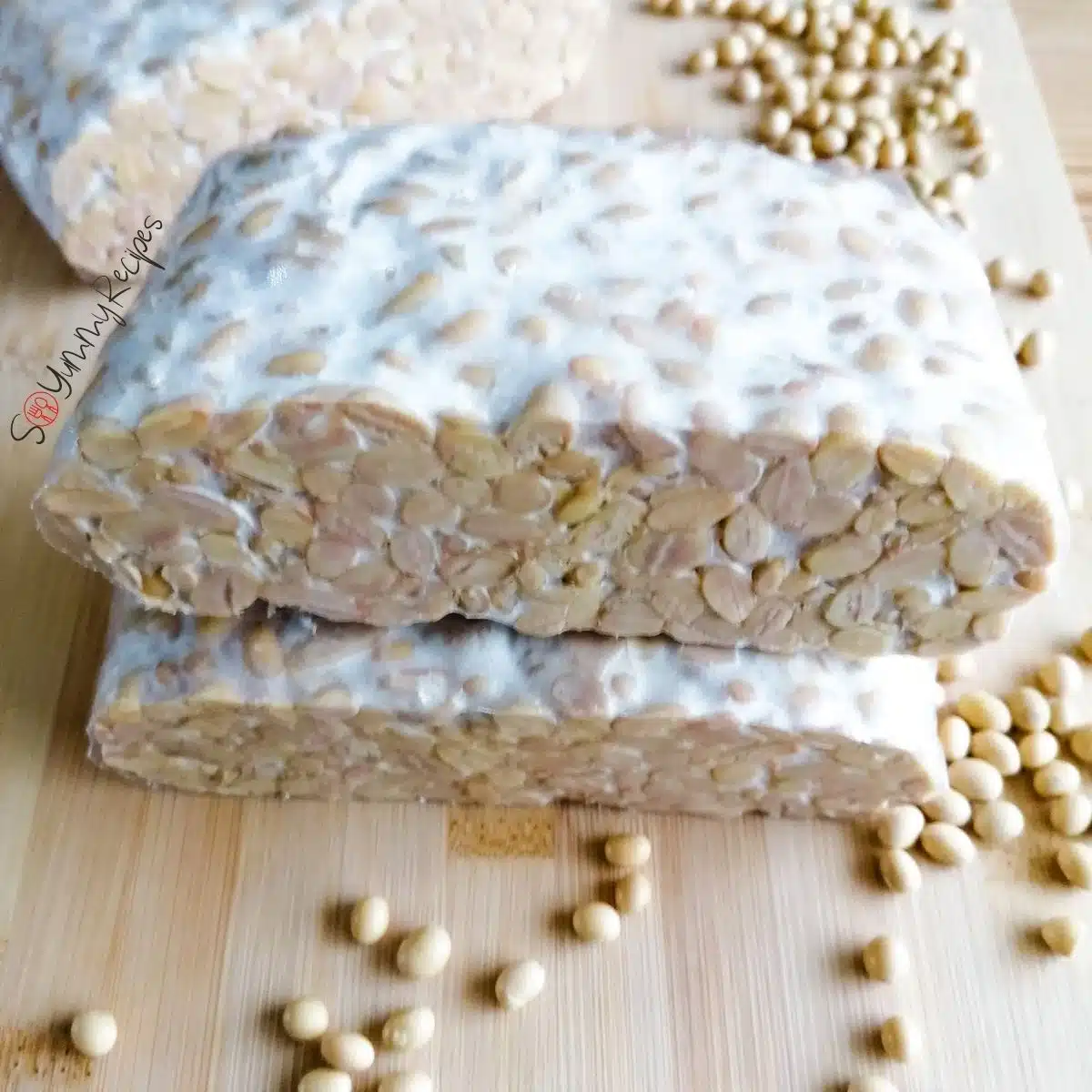 tempeh blocks with some soya beans around