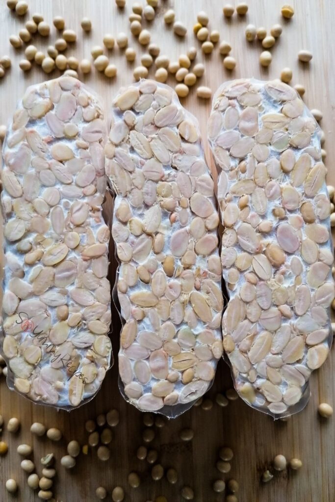 three slabs of tempe with soya beans underneath