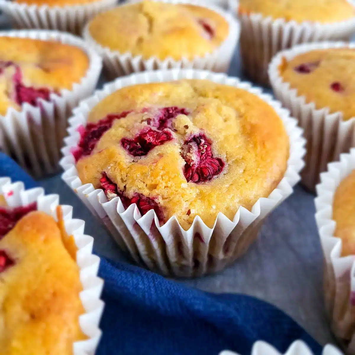 Lemon raspberry muffins.