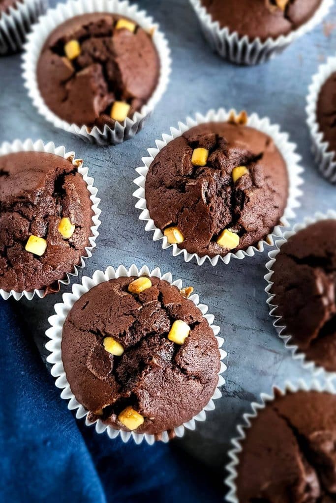Chocolate muffins with white chocolate chips.