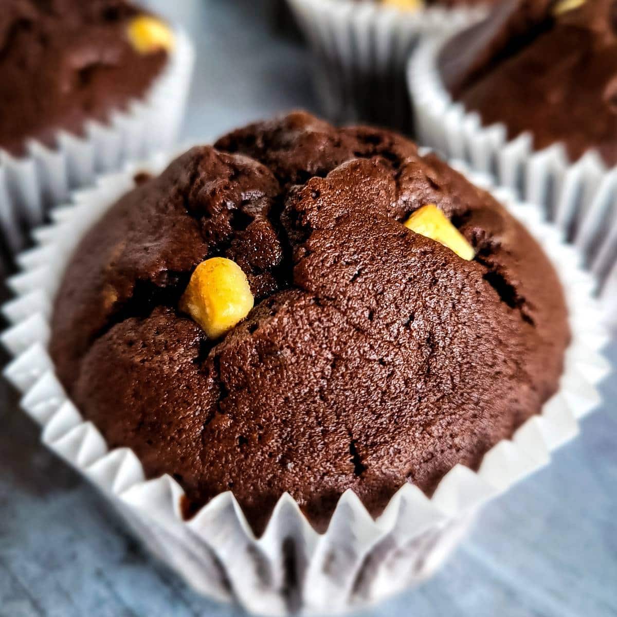 Chocolate muffins with white chocolate chips.