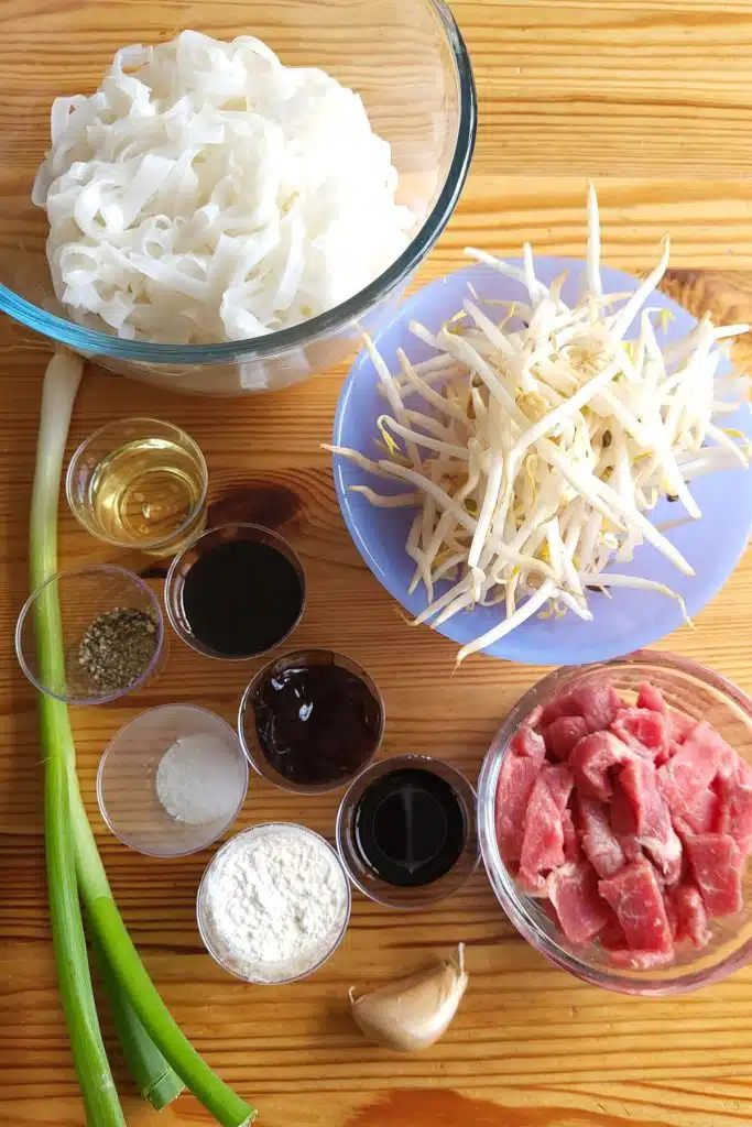 cut beef in a small bowl, spring onions, cooked ho fun, garlic, beansprouts, soy sauces, salt, pepper, etc.